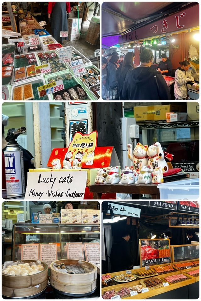 Vivid Experience at Tsukiji Fish Market