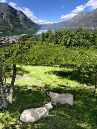 12-day summer tour of multiple Nordic countries | Ultimate guide