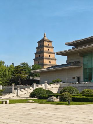 시안에 오면 대안탑에만 몰리지 마세요!! 90% 관광객이 놓친 신선한 비경이 여기 있습니다