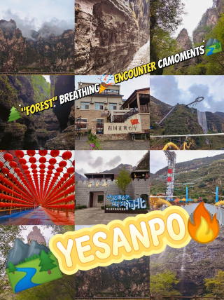 Yesanpo I’m going “wild”
