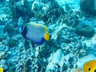 Unforgettable Second Visit to Baros Maldives