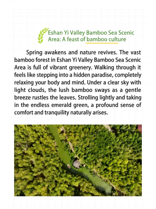 Eshan Yuzhu Fenghai Scenic Area Travel Guide