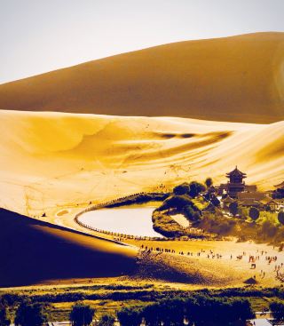 Poplar Alley at Dusk: Finding Solitude in Hotan's Rural Heart