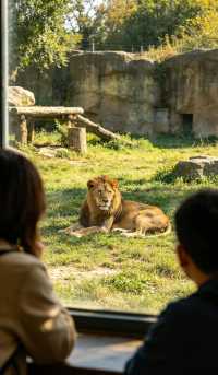 萬態野生動物世界