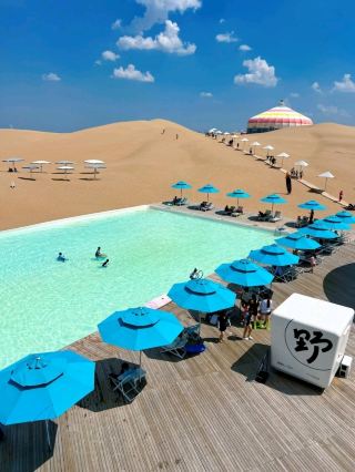 A Desert Paradise: Poolside Vibes and Sun-Drenched Walks.