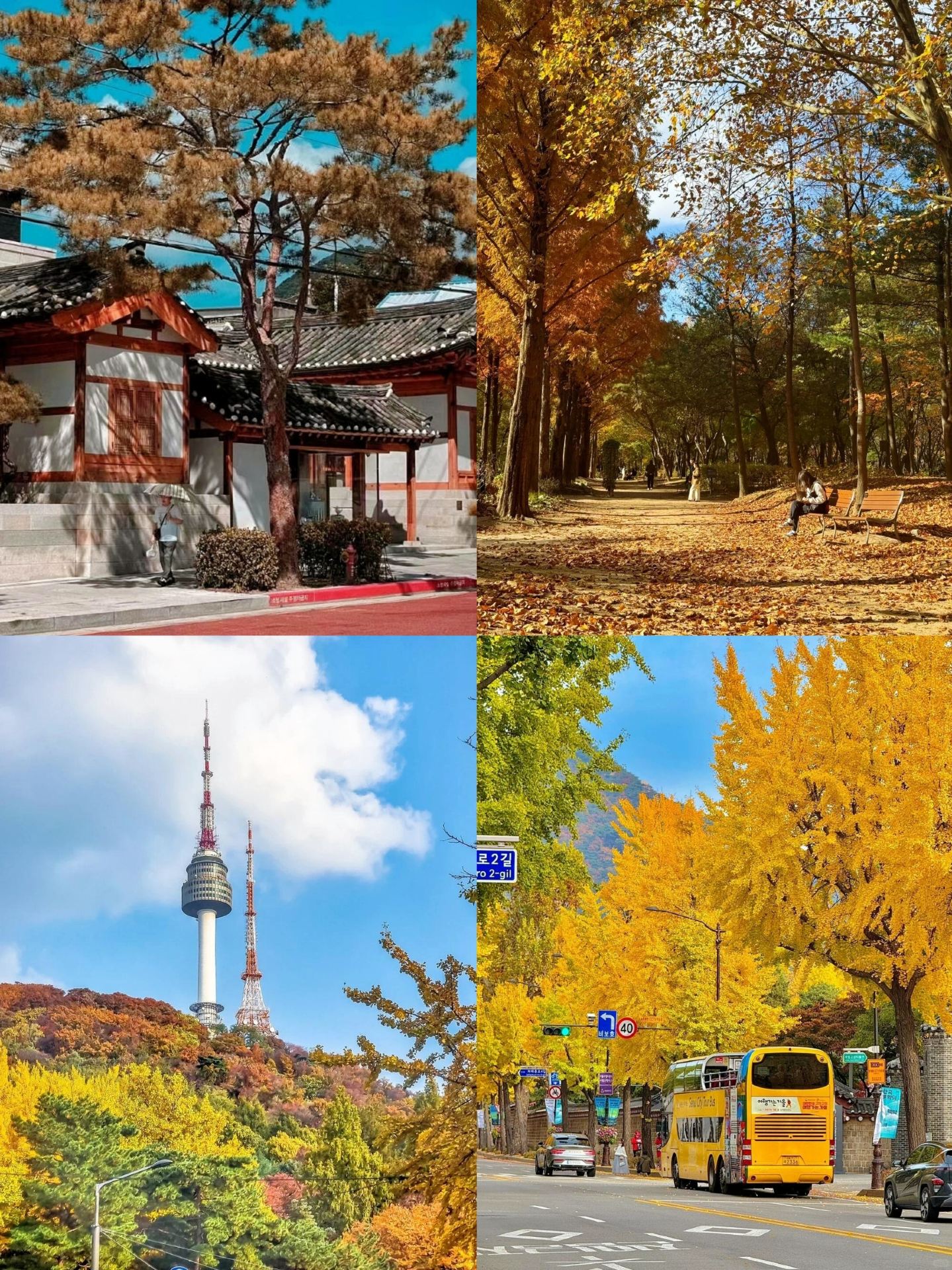 Tôi đã trở về từ Seoul rồi, nhưng xin đừng xem nhẹ việc đến đó vào tháng Chín hoặc tháng Mười, vì nơi đó quá quyến rũ.