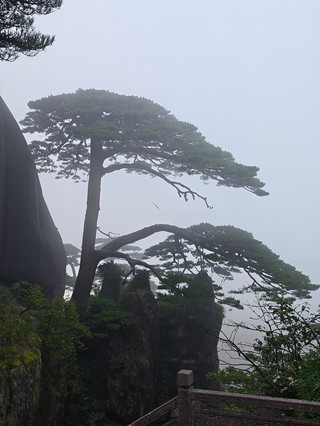 Catatan Perjalanan Huangshan | Memulai Perjalanan Menembus Awan ke Huangshan, Menyaksikan Pegunungan Megah dan Lautan Awan