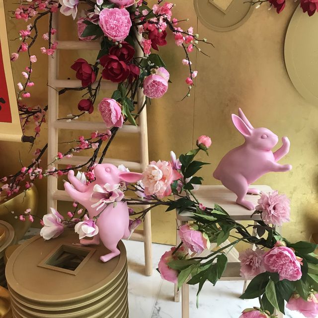 Abundant gold pouring in the year of rabbit🧧