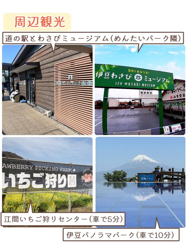 【静岡】めんたいパーク伊豆と周辺観光