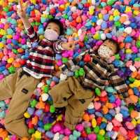 【 全新Playhouse開幕 】 