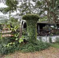Suansuai Rimfai restaurant, at Chonburi 🍲🇹🇭
