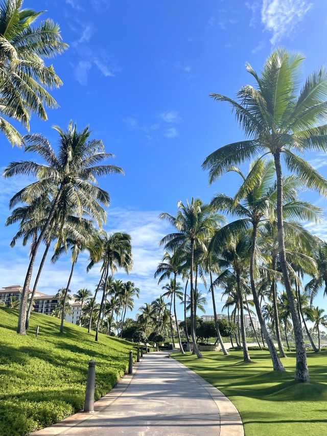 하와이는 와이키키만 유명한 게 아니야〰코올리나 비치파크🌴🍃