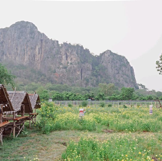 เขาฉกรรจ์ จ.สระแก้ว