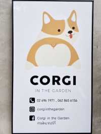 Attention all CORGI lovers!! 🐶
