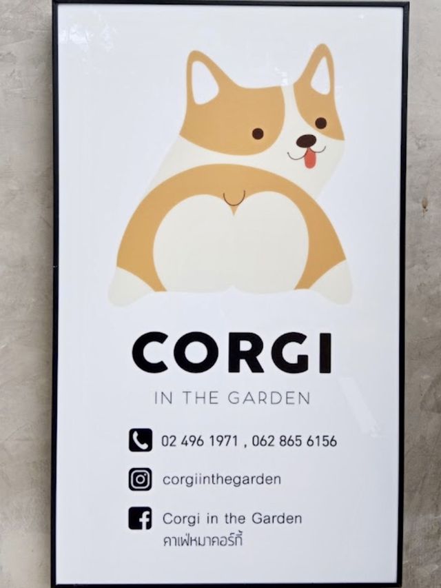 Attention all CORGI lovers!! 🐶