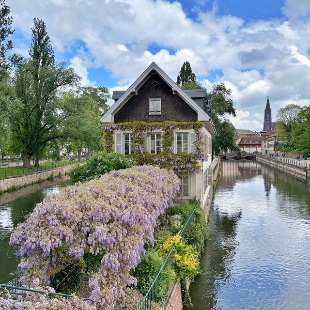 Incredible panoramic view of Strasbourg 