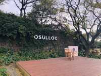 🇰🇷韓國濟洲必訪景點🍵 Osulloc Tea Museum 오설록 티 뮤지엄