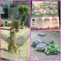 高雄動物園
