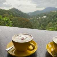 Tropical Fruit Farm: Where Nature Blooms