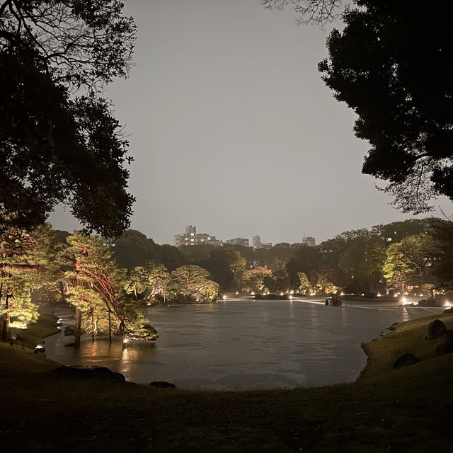 六義園夜櫻