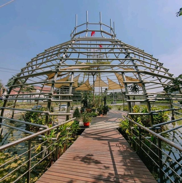 คาเฟ่ลับนครปฐม กินขนม ชมน้องควาย ใกล้ชิดธรรมชาติ