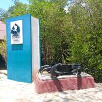 วนอุทยานปราณบุรี แหล่งเรียนรู้ป่าชายเลน