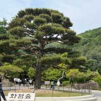 초록 초록 서울근교 힐링공간💚 화담숲🌿