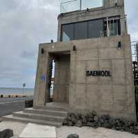 Ocean View cafe- Saemool