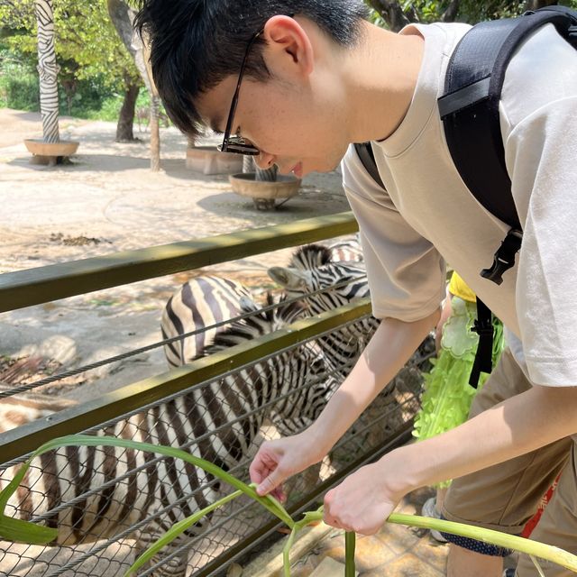 性價比超高的深圳野生動物園🦁