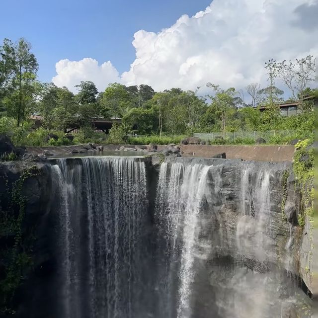 近距離接觸翱翔天際的飛鳥 | 新加坡飛禽公園