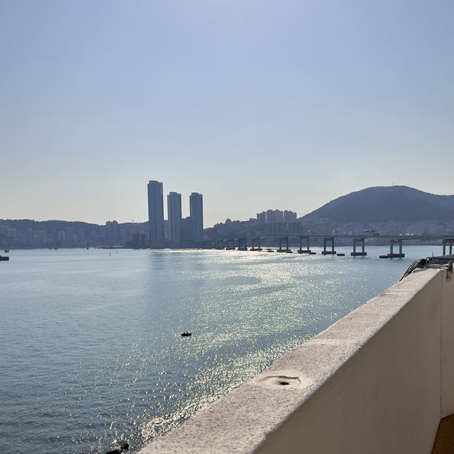 부산러가 인정하는 부산 1번 여행지는 바로 여기🌊