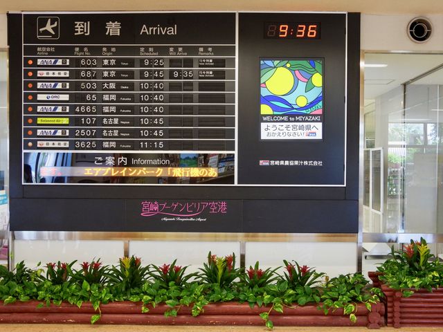 【NH】羽田→宮崎 プレミアムクラス✈️