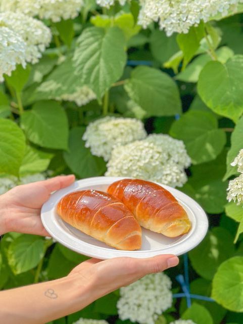 오늘자 실시간 청주 수국 맛집🌸🩵