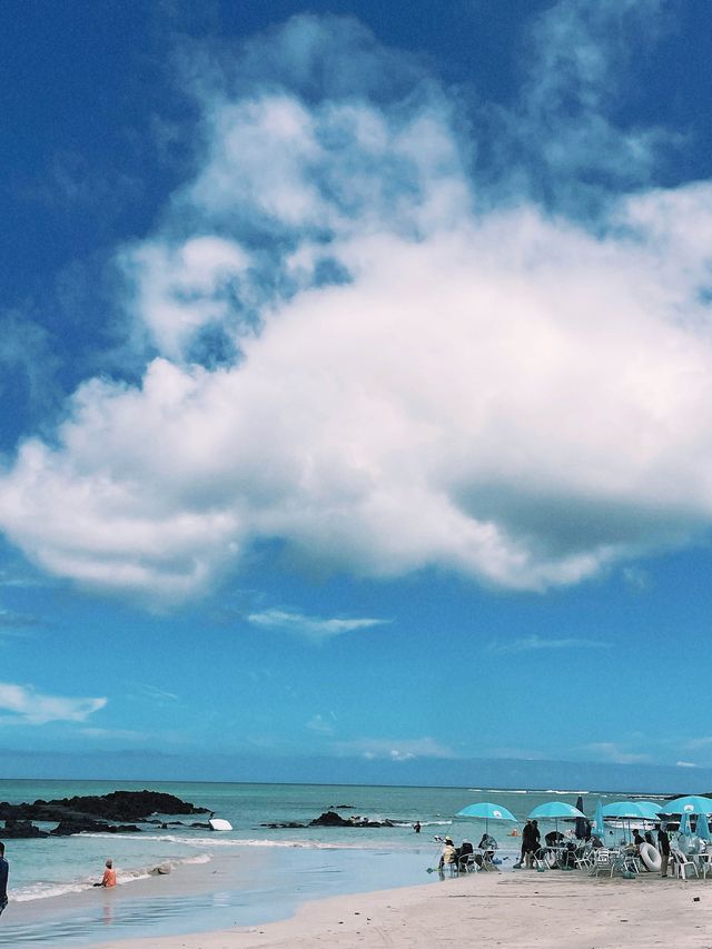 마치 해외에 온듯한 에메랄드 빛 해변, 제주 김녕 해수욕장🌊