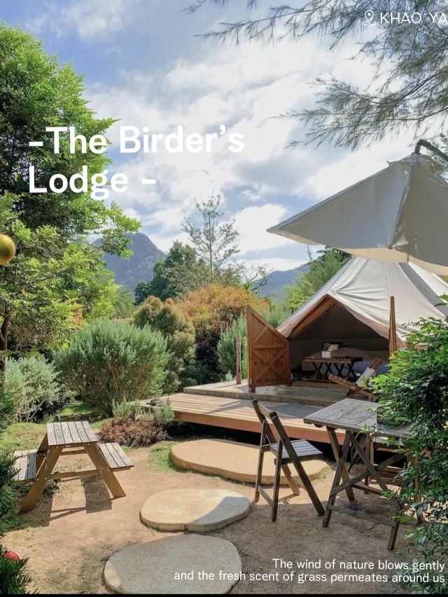 The Birder’s Lodge | ที่พักเหมือนในนิยาย 