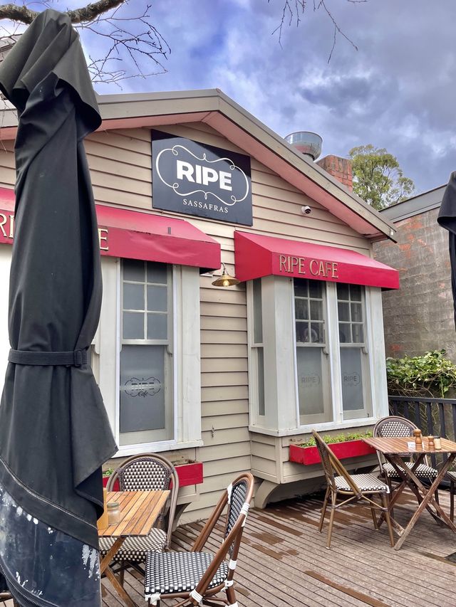 샤샤프라스 마을에 있는 브런치 맛집, Ripe
