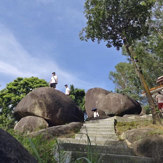 火爐山森林公園🌆大自然的悠閒遊樂場🌲🏞️🎉