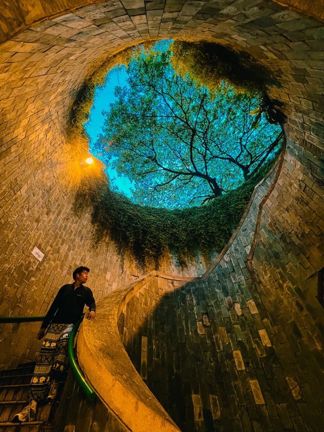 จุดถ่ายรูปยอดฮิต ปักหมุด Fort Canning Tree Tunnel