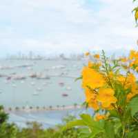 City Coffee Pattaya  คาเฟ่ฟิลเกาหลีเกาใจ