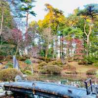 Autumn in Nikko Toshogu 🍂🍁