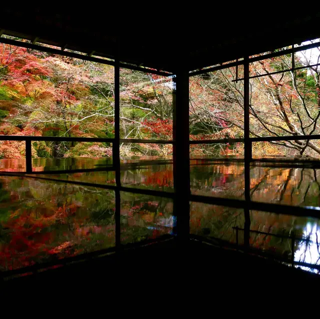 紅葉貴必訪景點 - 京都瑠璃光院