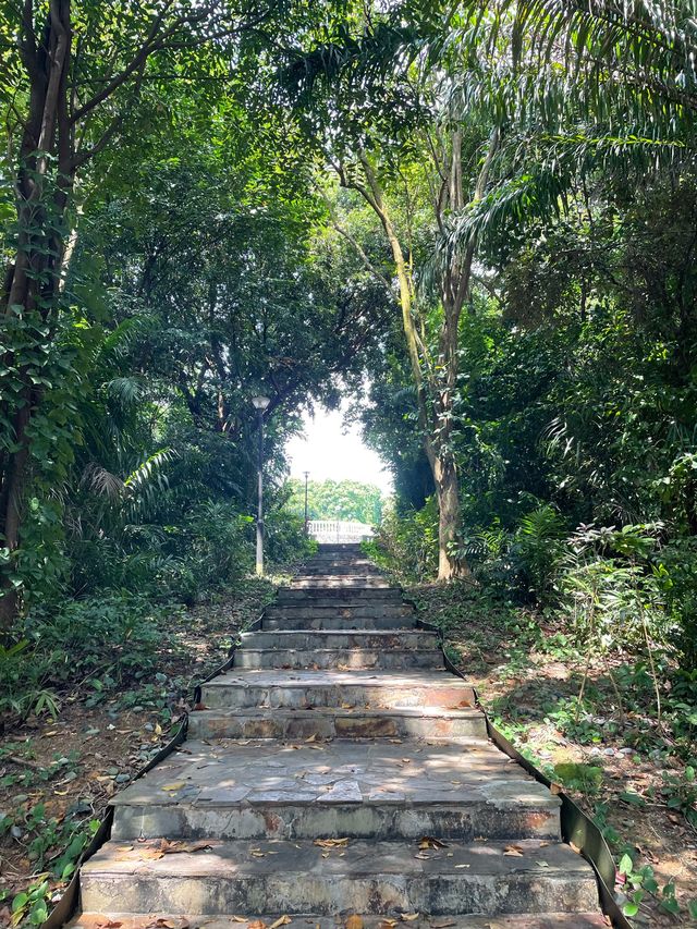 🇸🇬 Terrace Garden: It feels like Spring 🌸