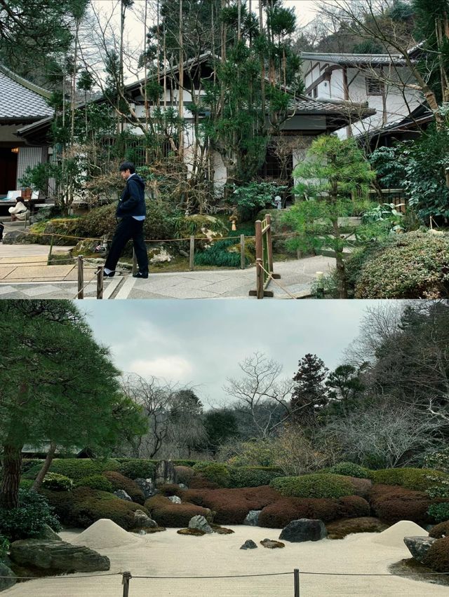 【明月院】鎌倉にあるモダンでシックなお寺🫶🏼🖤🫧【神奈川県】