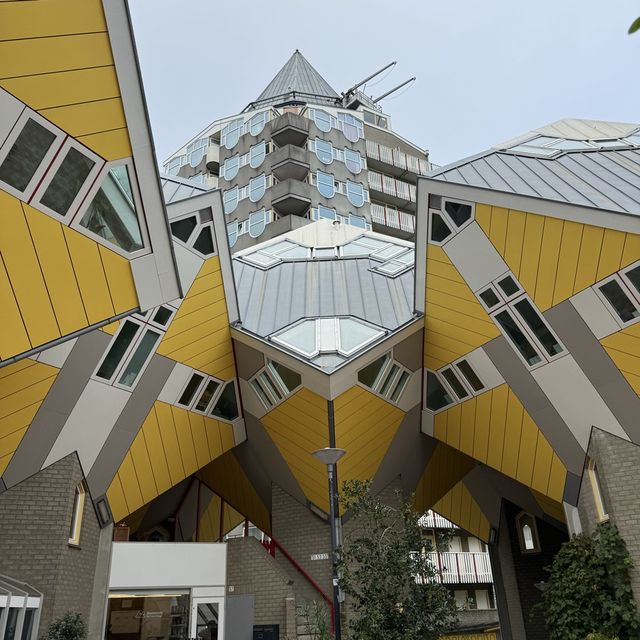 Undisputed Architectural Icon of Rotterdam! 