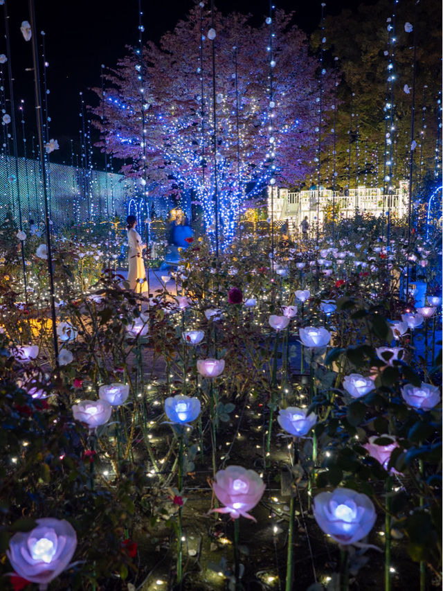 【この冬絶対に行くべき！😳】あしふらのイルミネーションが美しすぎる！🎄✨