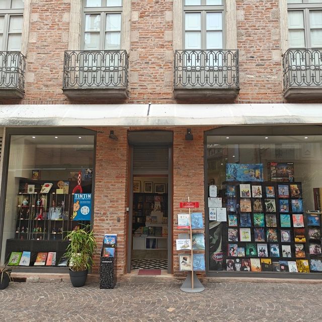 Amazing Albi, France