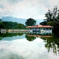 Taiping Lake Gardens