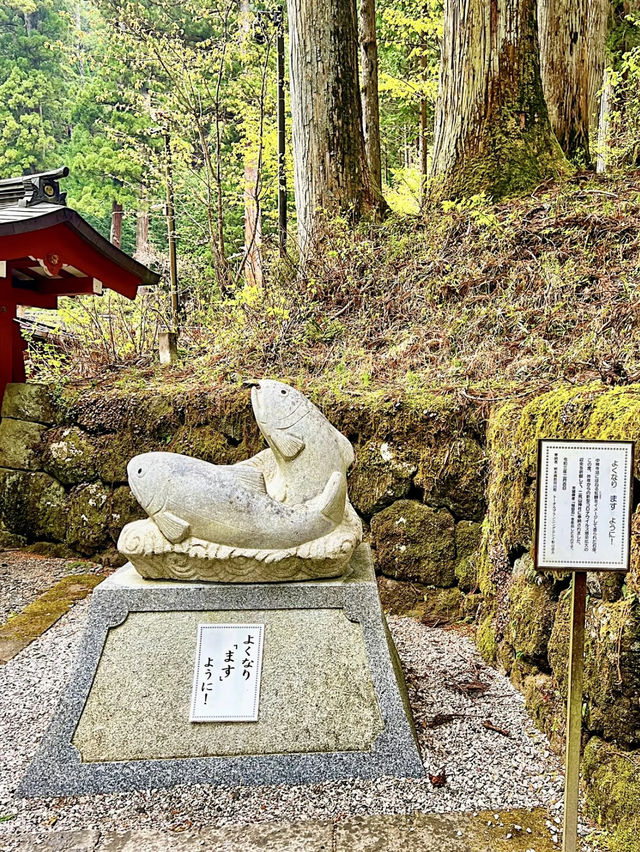 【日光】強力パワースポット　日光二荒山神社