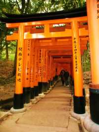 A day in Kyoto: Byōdō-in & Fushimi Inari