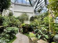 香港公園 — 球根植物展覽